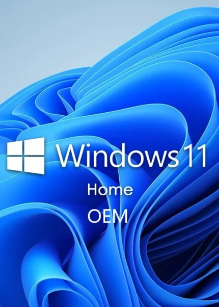 Windows 11 Home oem Key